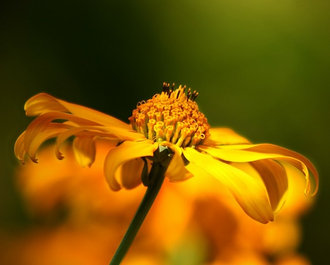 blog09