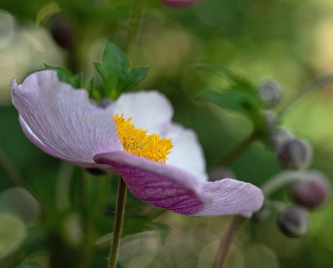 blog09