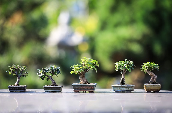 blog09